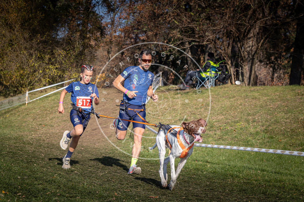 CaniXpix_0L8A8534 | Hundefotografie, Tierfotograf, Pfotenfotografie, Fotoshooting Hund, Hunde Portrait, Hundesport, Hundeportraits, Heideshooting, Hunde, Sportfotograf, Hundefotograf, Turnierhundsport, THS,  - Realisiert mit Pictrs.com