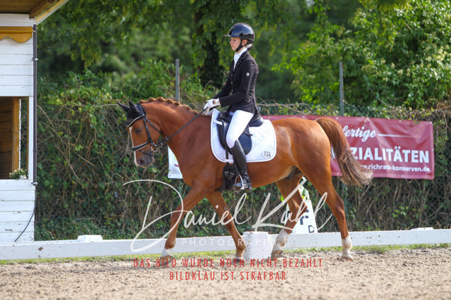 DKP43014 | Turniersportfotografie; Pferdefotografie; Dressurfotografie