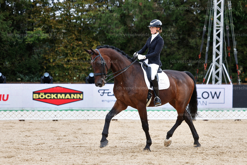 05-022-DRESSUR M_  -StoibPH-4916 | working equitationturnier fotograf videograf stoibphotography marixx film working equitation deutschland reitsport turnierfotografie eventfotografie equestrian events