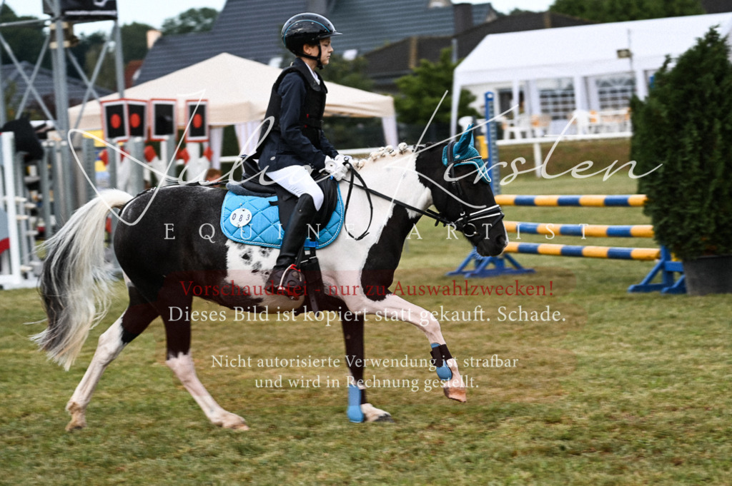 DSC_5463 | Pferde- und Turnierfotografie in Westsachsen. Pferdeportraits, Auftragszeichnungen und intuitive Kunst.