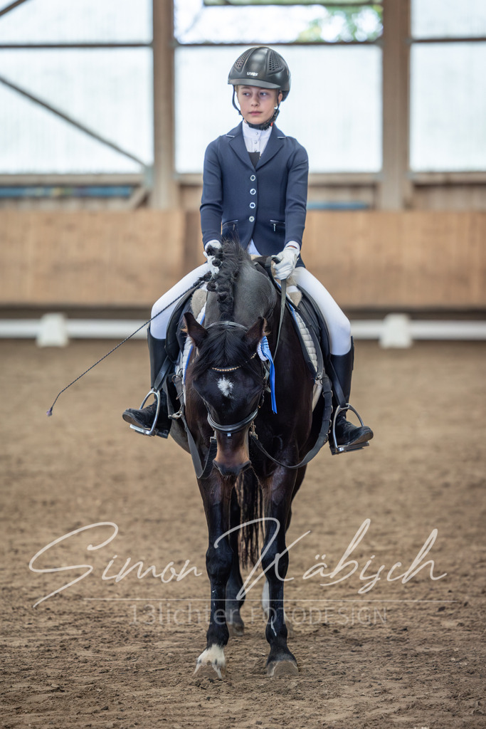 20251011-_3LI8525 | Tierfotografie Pferde, Hunde, Katzen, Haustiere.
Turnierfotografie Reitturniere, Reiten, Springreiten, Dressur in Hanau, dem Main-Kinzig-Kreis und dem Rhein-Main- Gebiet um Frankfurt