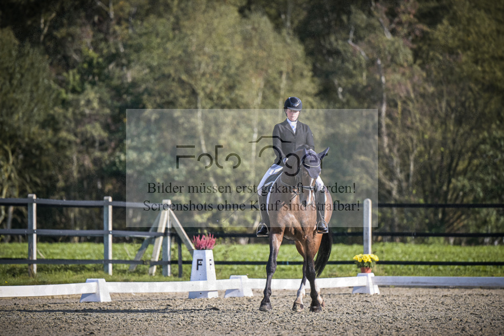 DOS_4699 | Entdecke hochwertige Reitturnierfotos von Foto Oger. Professionell, emotional und authentisch – jetzt Lieblingsmomente im Shop bestellen.Deutschlandweite Turnierfotografie. - Realisiert mit Pictrs.com