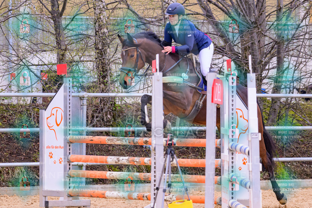 10042026-Mammendorf-Prfg17-0313 | Fokus Hufschlag Fotografie - Realisiert mit Pictrs.com