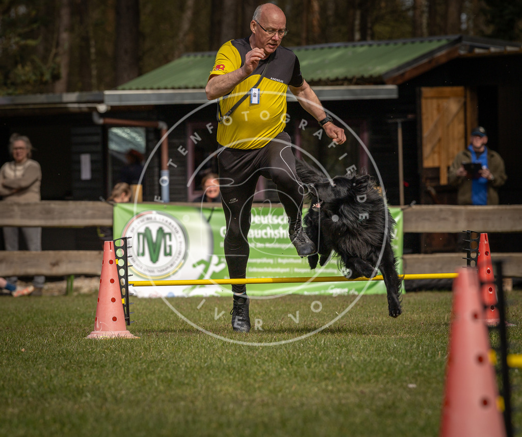 Pfotenfotografie_DV3A7018 | Hundefotografie, Tierfotograf, Pfotenfotografie, Fotoshooting Hund, Hunde Portrait, Hundesport, Hundeportraits, Heideshooting, Hunde, Sportfotograf, Hundefotograf, Turnierhundsport, THS,  - Realisiert mit Pictrs.com