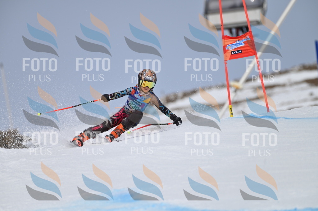 BGV_4543 | holidayphoto