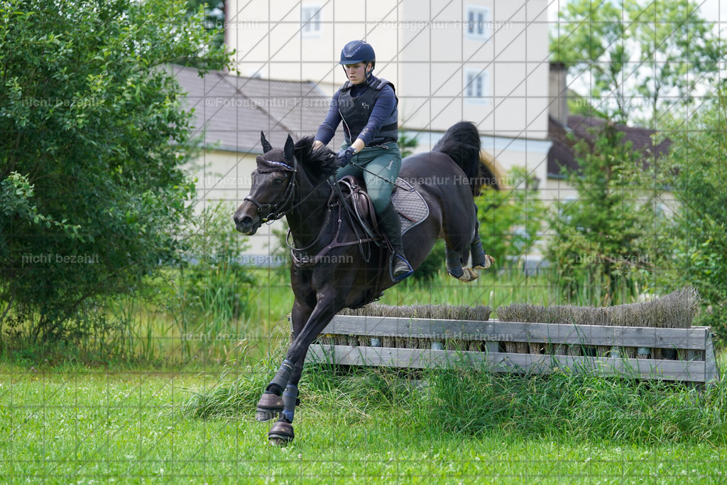 20240622-FAH06894 | Turnierfotografen Bayern, Reitsportbilder aus dem Geländekurs mit Felix Etzel auf dem Gut Waitzacker 2024