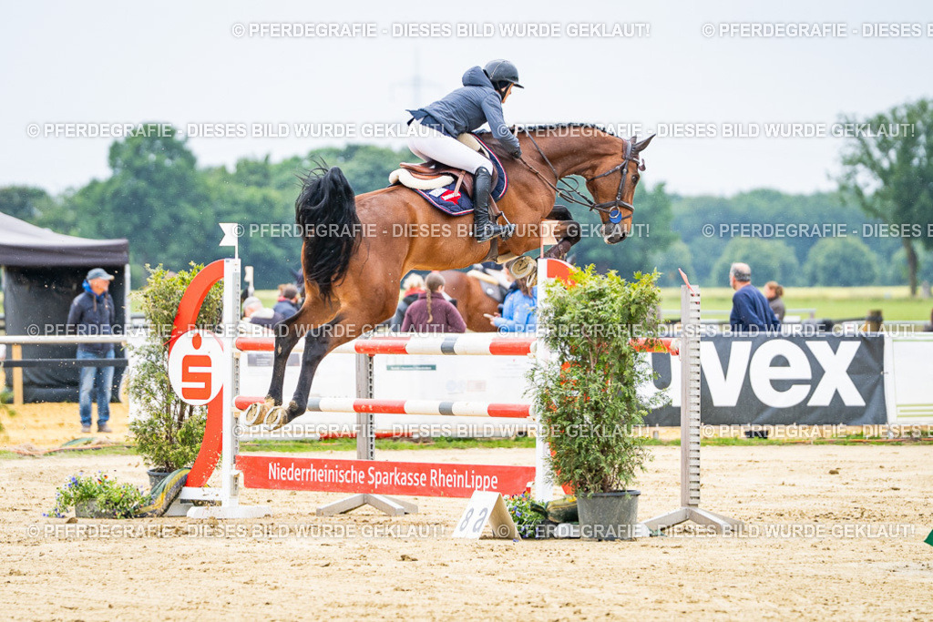 DSC06889 | Pferdegrafie