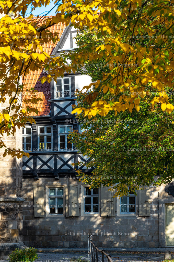 10049-13340 - Herbst am Domplatz in Halberstadt | Stockfoto und Bilderpool mit Bildmaterial aus Deutschland, dem Harz, Halberstadt, Quedlinburg, Wernigerode und weltweit. Qualitativ hochwertige und professionelle Fotos anschauen und kaufen. - Realisiert mit Pictrs.com
