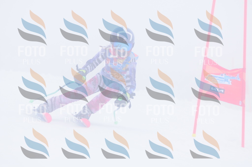 C2475 | holidayphoto