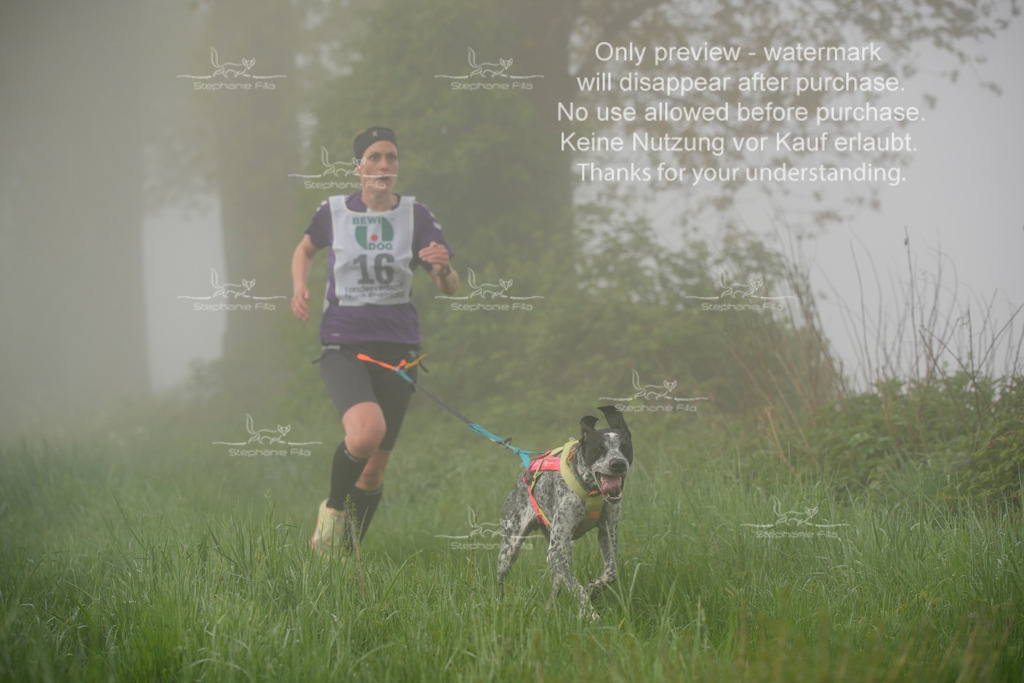 SA_GL2-91 | stephaniefillaphotographie - Realisiert mit Pictrs.com