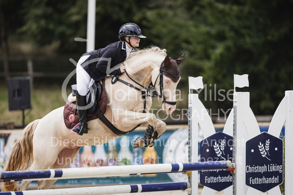 250711_BHO_A2-Spr-2-238 | Deine schönsten Turniermomente als professionelle Fotos! Entdecke hochwertige Pferdesport-Fotografie im Online-Shop. Jetzt Fotos finden & bestellen!