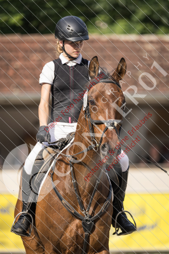 IMG_5979 | Sport-, Event- und Tierfotos in Profiqualität. Einfach auswählen, bestellen und herunterladen. Dein Moment – perfekt festgehalten.