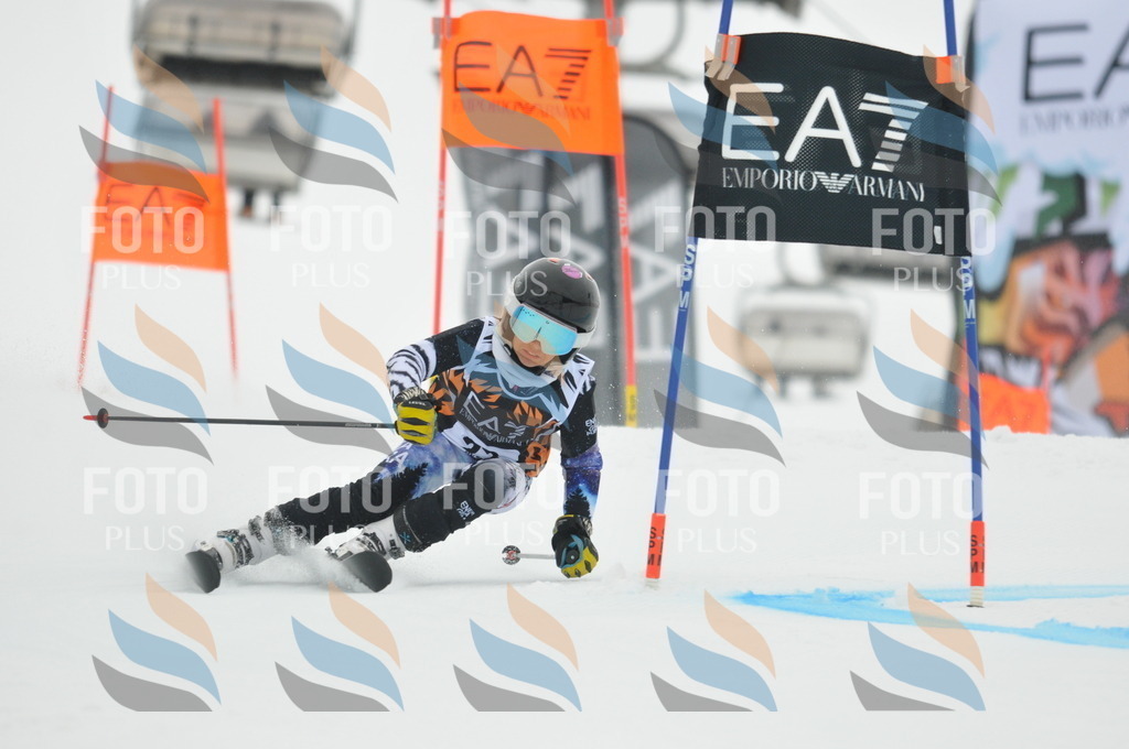 DSC_7475 | holidayphoto