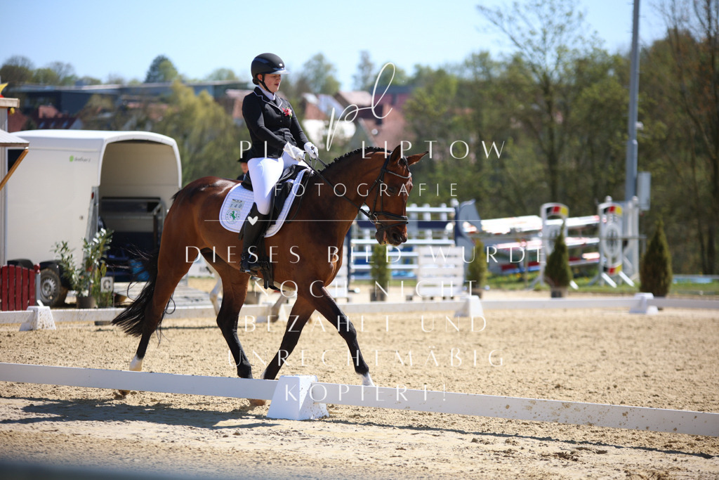 IMGT1170 | pl-fotografie