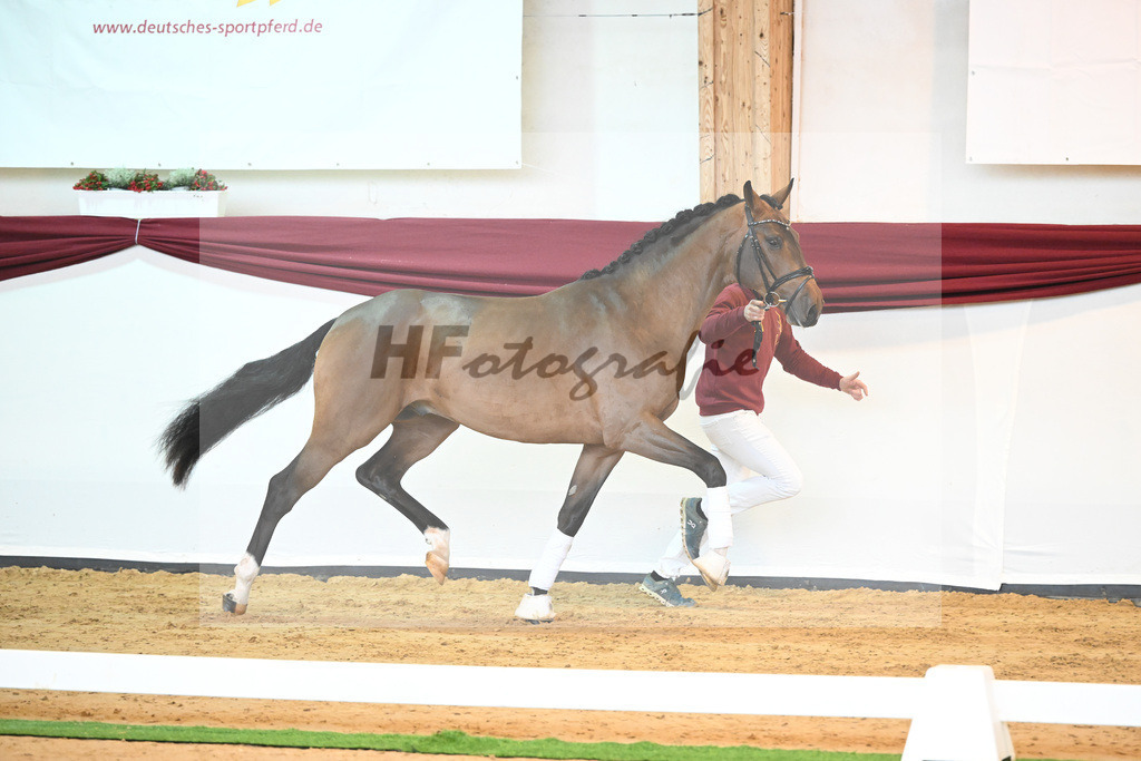 Kat-Nr. 3 v. Baron_Brors_66221557 | hf-fotografie - Realisiert mit Pictrs.com