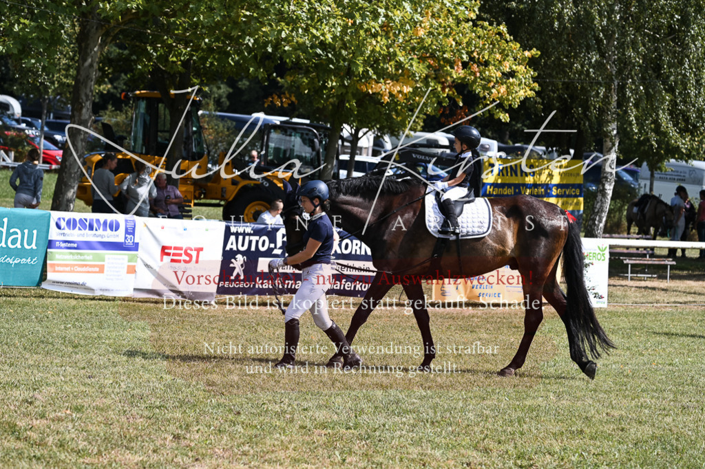 DSC_6780 | Pferde- und Turnierfotografie in Westsachsen. Pferdeportraits, Auftragszeichnungen und intuitive Kunst.