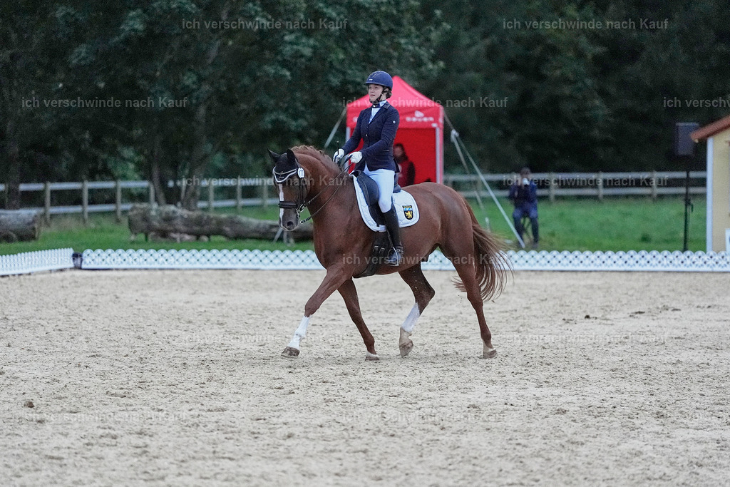04_2-177-Dressur M__ -StoibPH-3021 | working equitationturnier fotograf videograf stoibphotography marixx film working equitation deutschland reitsport turnierfotografie eventfotografie equestrian events