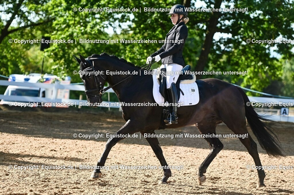 20230715_06_Dressurpferdeprfg. Kl.A_0088 | equistock