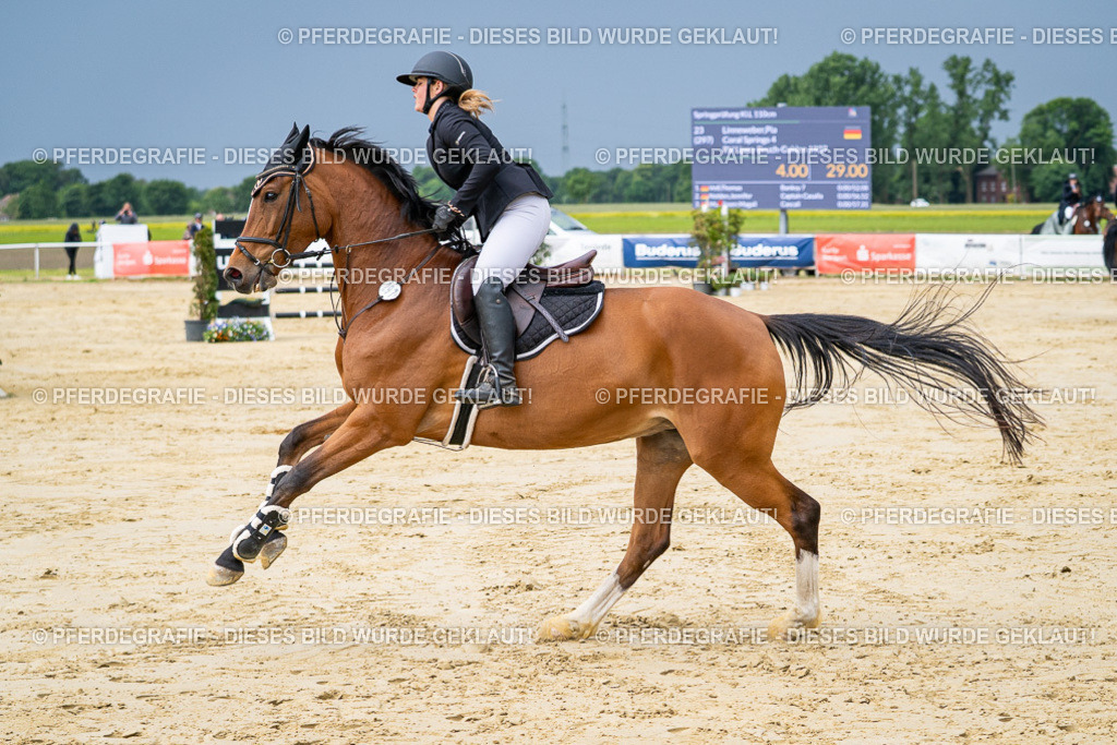 DSC04017 | Pferdegrafie