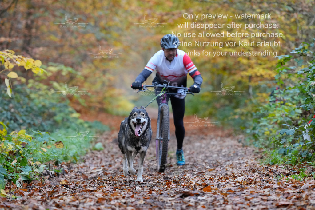 Scooter_So-37 | stephaniefillaphotographie - Realisiert mit Pictrs.com