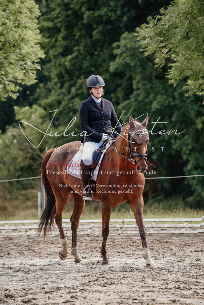 DSC_9226 | Pferde- und Turnierfotografie in Westsachsen. Pferdeportraits, Auftragszeichnungen und intuitive Kunst.
