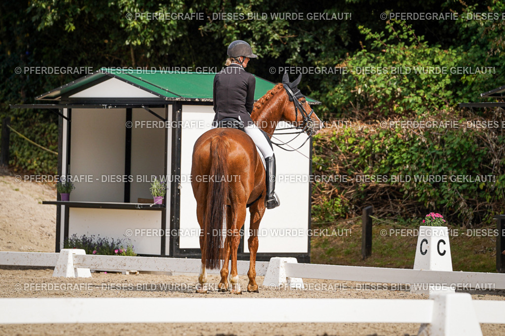 DSC06753 | Pferdegrafie