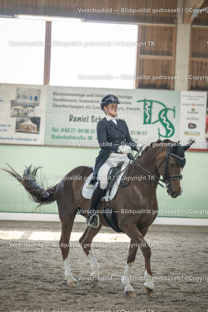 _D5A9346 | Emotionale Pferde- & People-Fotografie rund um Heidelberg, Leimen & Umgebung. Natürliche Fotos von Pferd, Mensch & Familie. Jetzt Termin sichern!