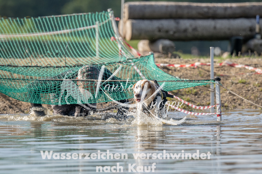 1250_ZZ93923 | kk-dogfotos