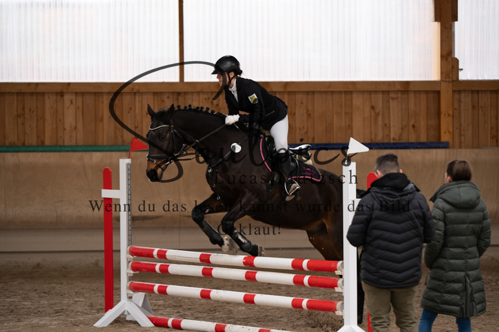 A7V00295 | Pferdefotograf