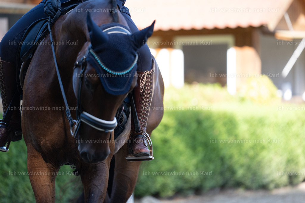 WL_DR_41_sinafilmart_IN06170 | working equitationturnier fotograf videograf stoibphotography marixx film working equitation deutschland reitsport turnierfotografie eventfotografie equestrian events
