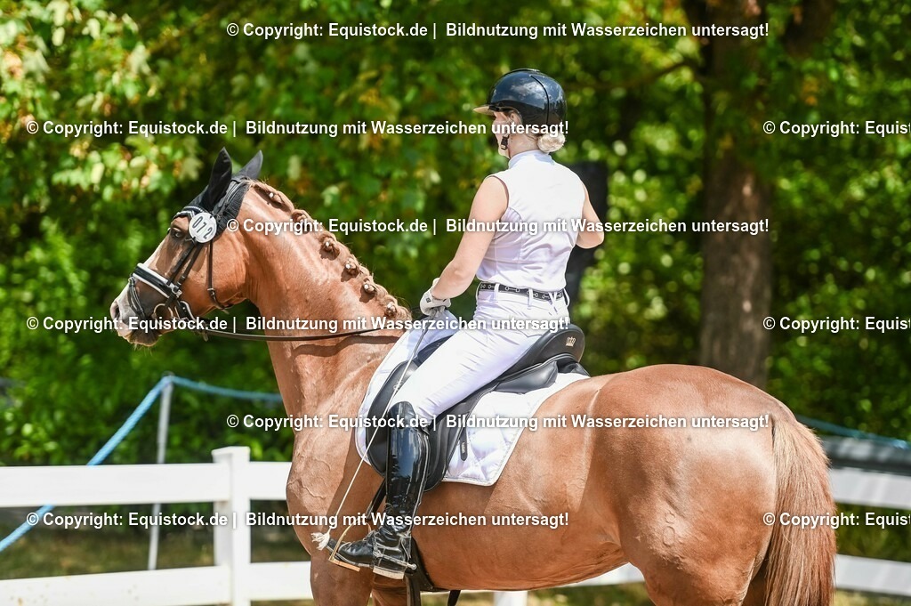 20230716_03_Dressurprfg. Kl.L - Tr._0539 | equistock