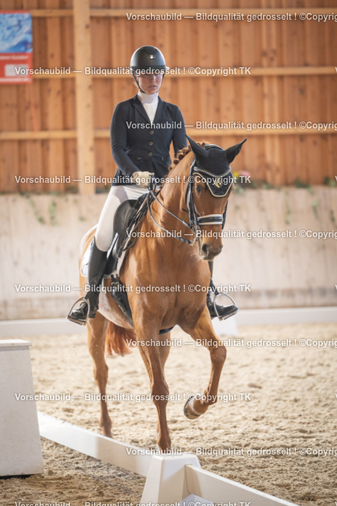 _D5A2779 | Emotionale Pferde- & People-Fotografie rund um Heidelberg, Leimen & Umgebung. Natürliche Fotos von Pferd, Mensch & Familie. Jetzt Termin sichern!