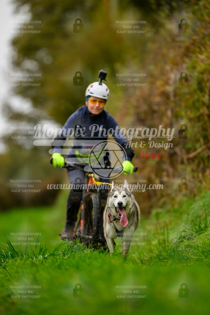 MompixPhotography_20TSB_E8_Bike-174 | PayLife