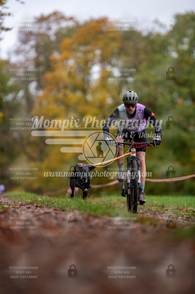 DBT_DAKM_SA_4_11_2023_Bike-1 | PayLife