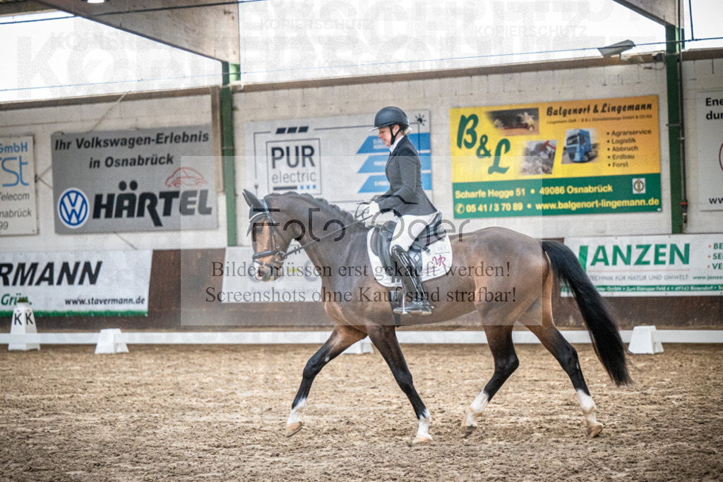 DOS_0062 | Entdecke hochwertige Reitturnierfotos von Foto Oger. Professionell, emotional und authentisch – jetzt Lieblingsmomente im Shop bestellen.Deutschlandweite Turnierfotografie. - Realisiert mit Pictrs.com
