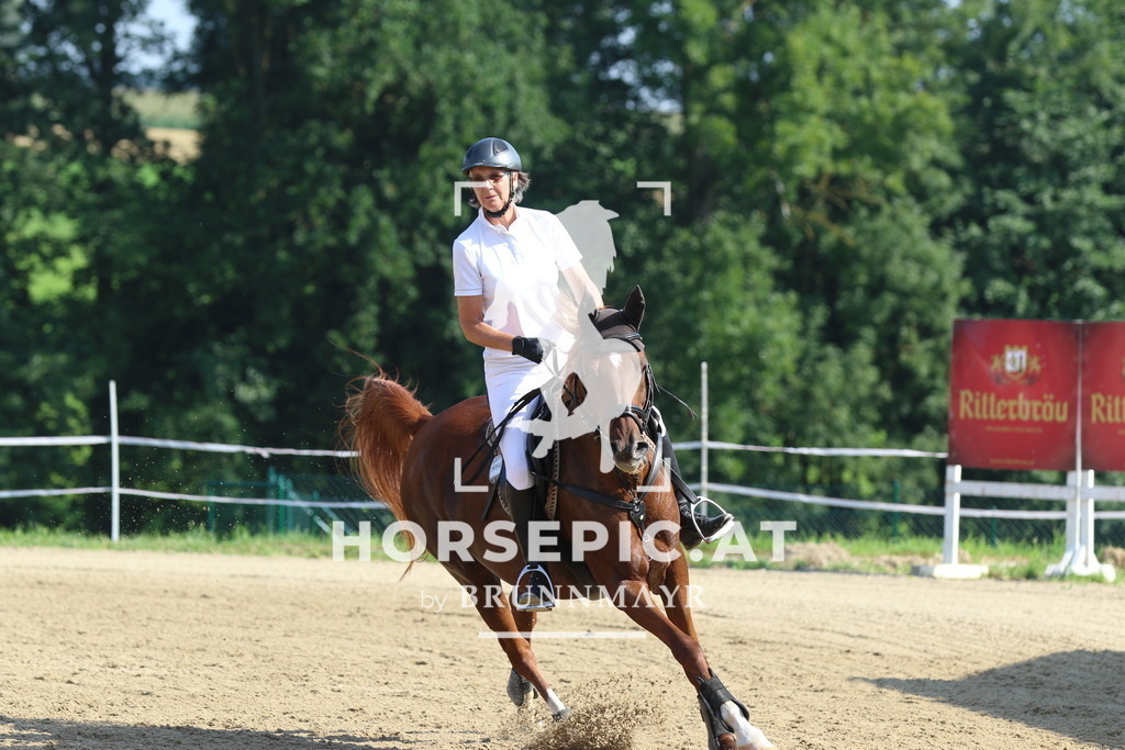 7V2A4095 | Willkommen bei Brunnmayr - Design & Fotografie – Ihrem Spezialisten für Reitturniere und Pferdeveranstaltungen in Oberösterreich, Salzburg und Bayern! Seit über 17 Jahren sind wir leidenschaftlich dabei.