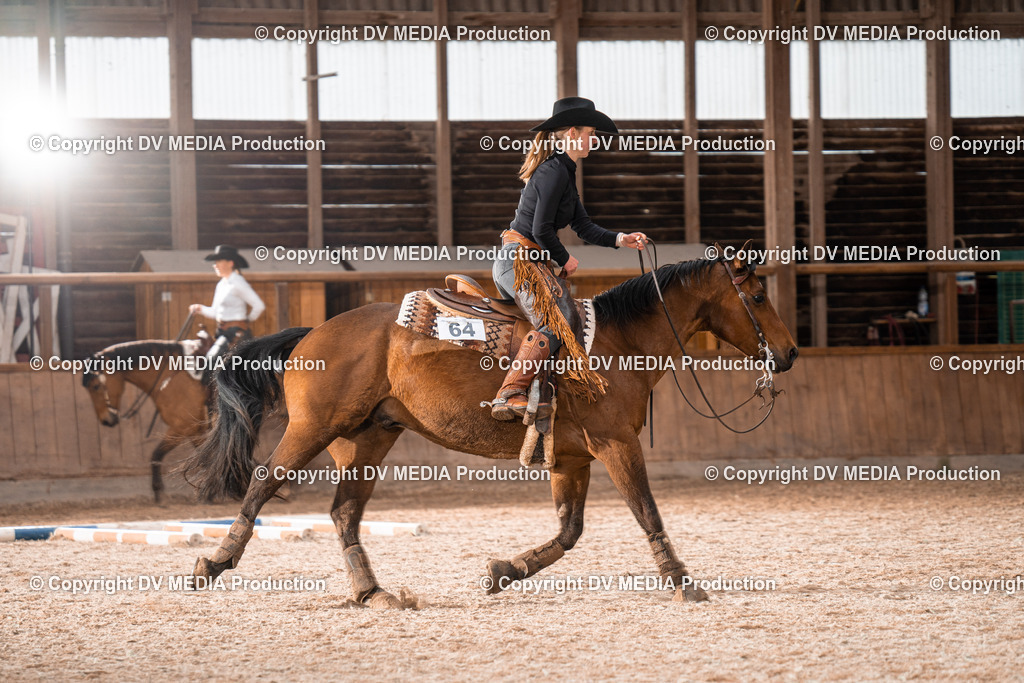 Heidelberg Tag 2-520 | dv-media-shop - Realisiert mit Pictrs.com