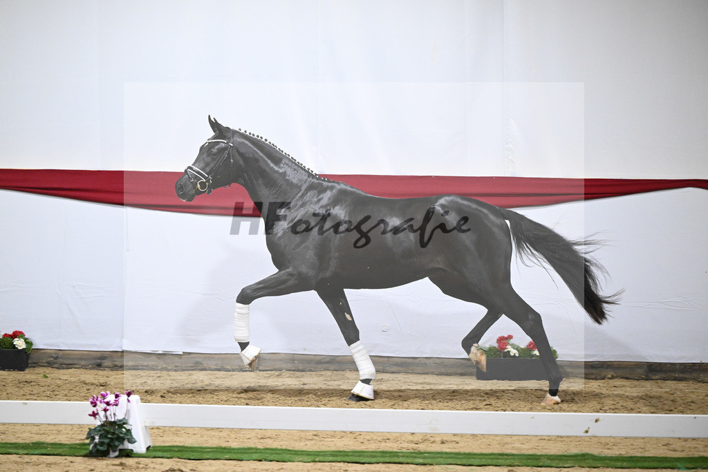 Kat-Nr. 65 v. Ferrantino_Greim_63221665 | hf-fotografie - Realizzato con Pictrs.com