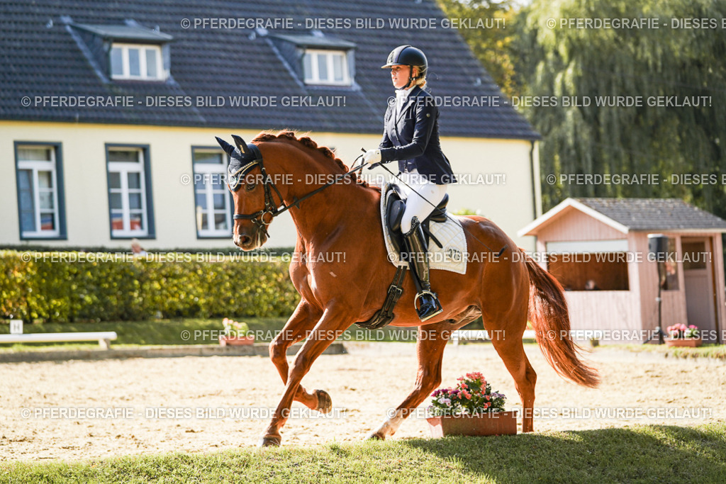 DSC07402 | Pferdegrafie