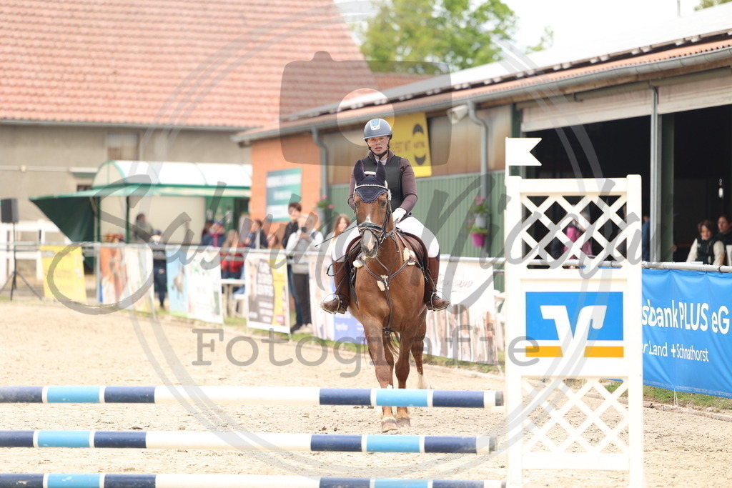 994A8702 | sabrinanicolaifotografie - Realisiert mit Pictrs.com