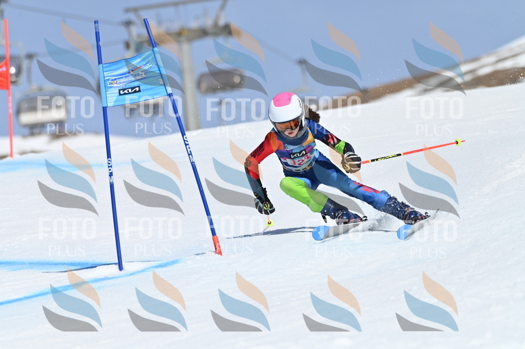 BGV_9861 | holidayphoto