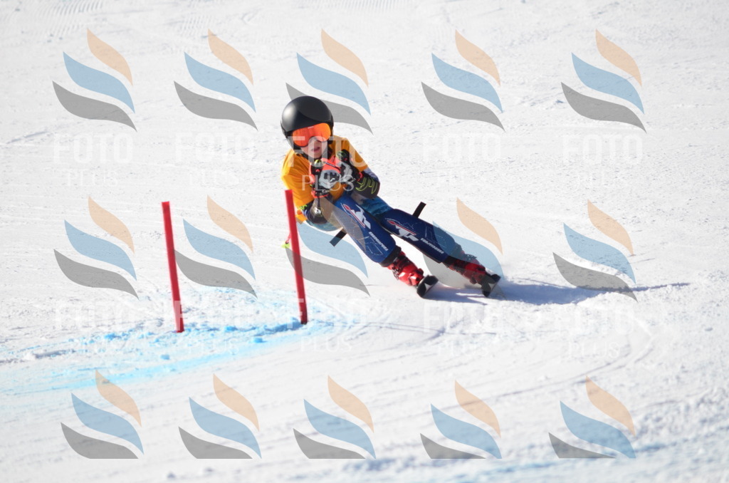 C6467 | holidayphoto