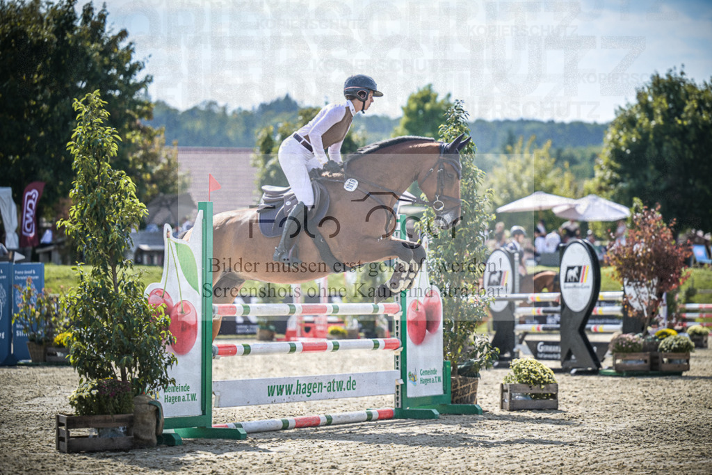 DOS_8576 | Entdecke hochwertige Reitturnierfotos von Foto Oger. Professionell, emotional und authentisch – jetzt Lieblingsmomente im Shop bestellen.Deutschlandweite Turnierfotografie. - Realisiert mit Pictrs.com