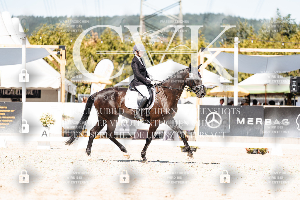 CK900201 | Turnierfotografie Pferdefotografie Trier Rheinland-Pfalz Pferdesport Reitsport Tierfotografie Sportfotografie Pferdevideo Pferdevideografie Equestrianvideography equestrianphotography  - Realisiert mit Pictrs.com