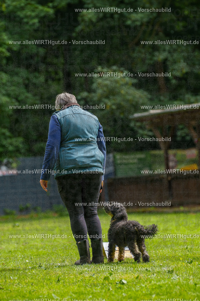 @allesWIRTHgut_Tierfotografie - www.allesWIRTHgut.de - 093011-7R507226 | Professionelle Tierfotografie in Mönchengladbach von Daniel Wirth (allesWIRTHgut). Liebevolle & natürliche Bilder von Hunden & Katzen für unvergessliche Erinnerungen.