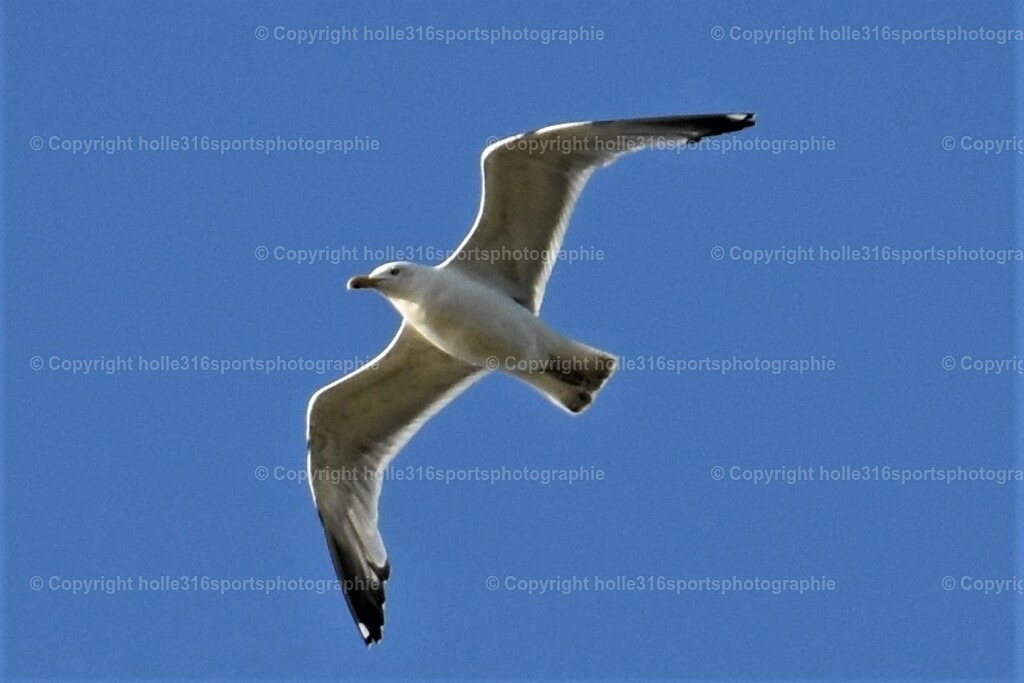 DSC_0093 (2) | Sportfotografie , Motorsport, Motoross, Reitsport, Mointainbike, Enduro,
Landschaft , Outdoor, Eventfotografie, Landschaft, Bilder online bestellen - Realisiert mit Pictrs.com