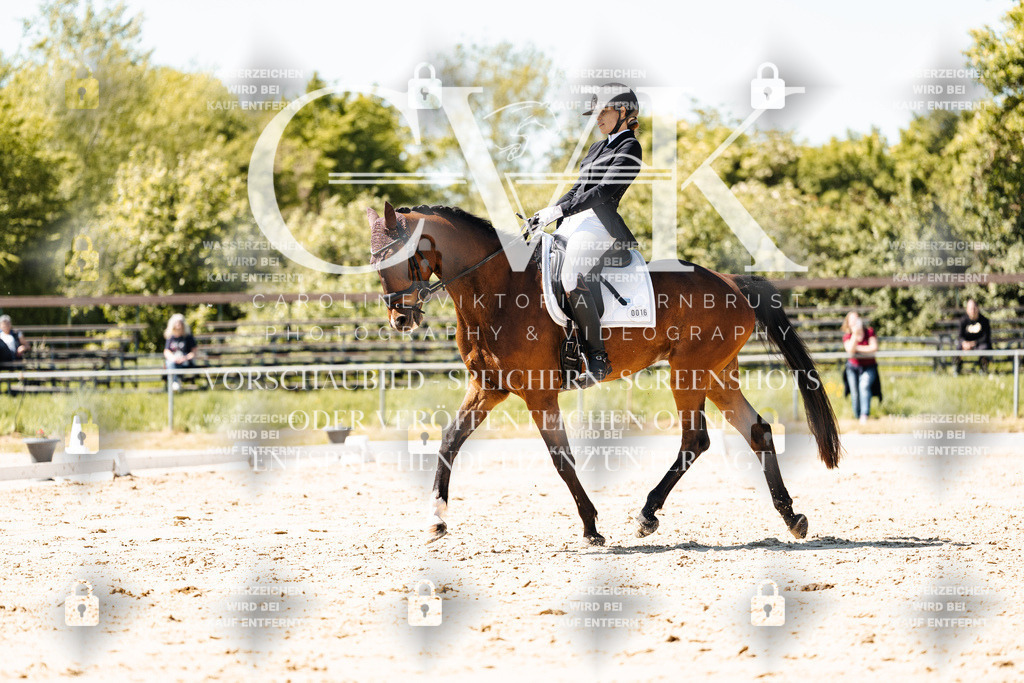 CK905738 | Turnierfotografie Pferdefotografie Trier Rheinland-Pfalz Pferdesport Reitsport Tierfotografie Sportfotografie Pferdevideo Pferdevideografie Equestrianvideography equestrianphotography  - Realisiert mit Pictrs.com