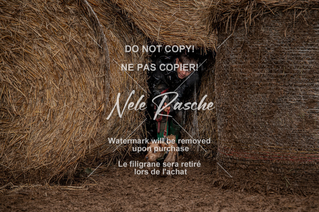 nelerasche_Hunsrück_So12-13_114 | nelerasche