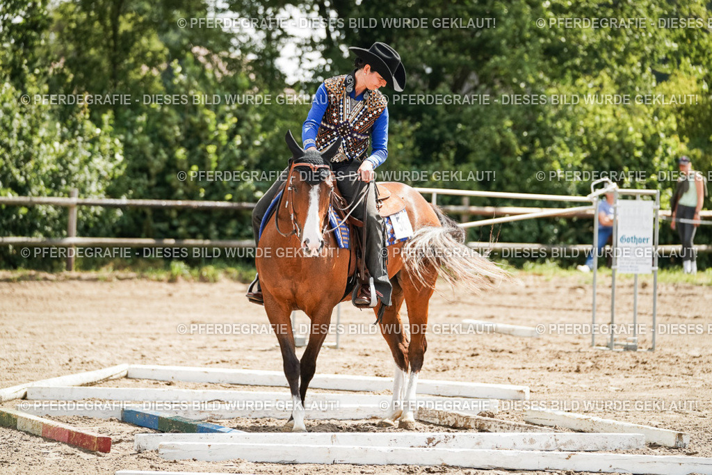 DSC06121 | Pferdegrafie