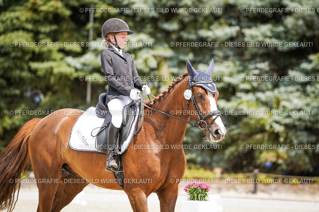 DSC03413 | Pferdegrafie